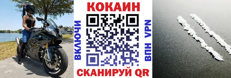 COCAIN Fish Scale  Купить закладки  Котельниково 