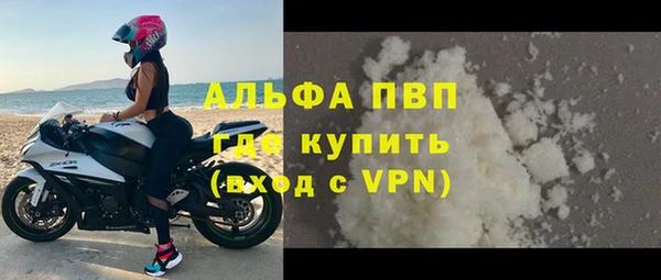 PSILOCYBIN Ельня