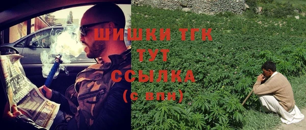 PSILOCYBIN Ельня