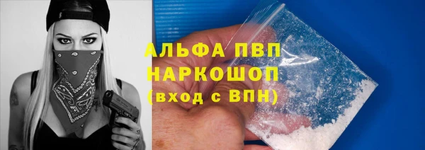 эйфоретик Елизово