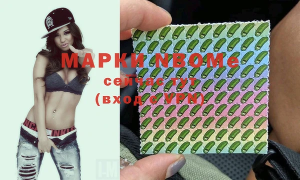 молекула духа Елабуга