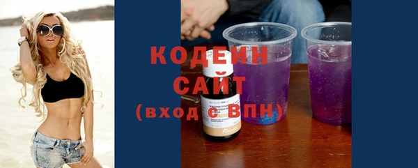PSILOCYBIN Ельня