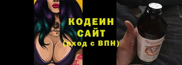 PSILOCYBIN Ельня