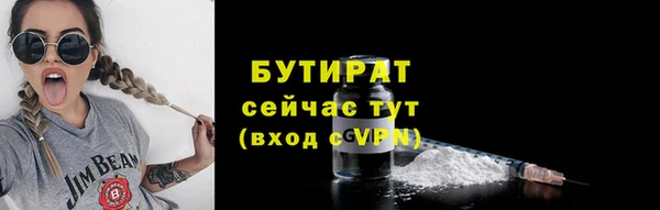 PSILOCYBIN Ельня