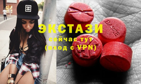 PSILOCYBIN Ельня