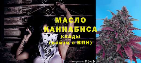 PSILOCYBIN Ельня