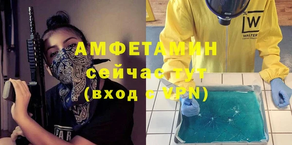 PSILOCYBIN Ельня