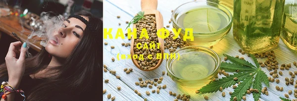 PSILOCYBIN Ельня