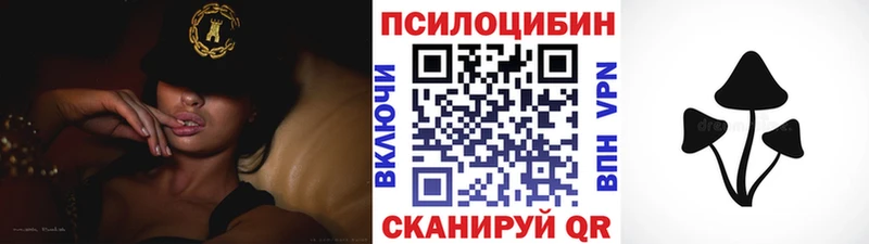 Купить  Котельниково  Псилоцибиновые грибы MAGIC MUSHROOMS 
